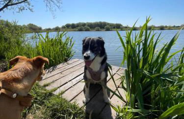 Spacious modern house near the beach - Foto 14