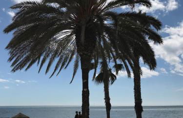 Cabaña La Pura Vida Yunquera - Foto 34