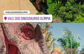 Flat Getsêmani Olímpia a 10min do Thermas dos Laranjais - Foto 28