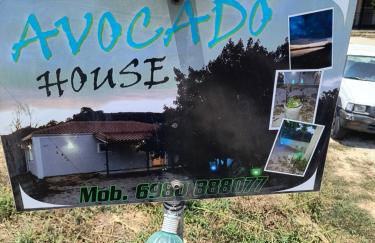 Avocado house - Photo 4