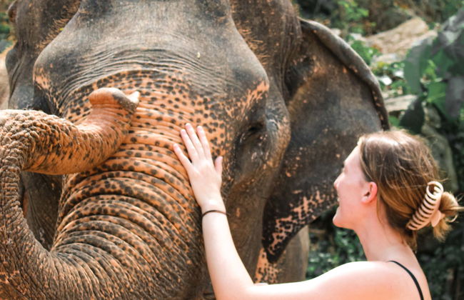 Escursione al santuario degli elefanti di Ao Nang - Foto 1