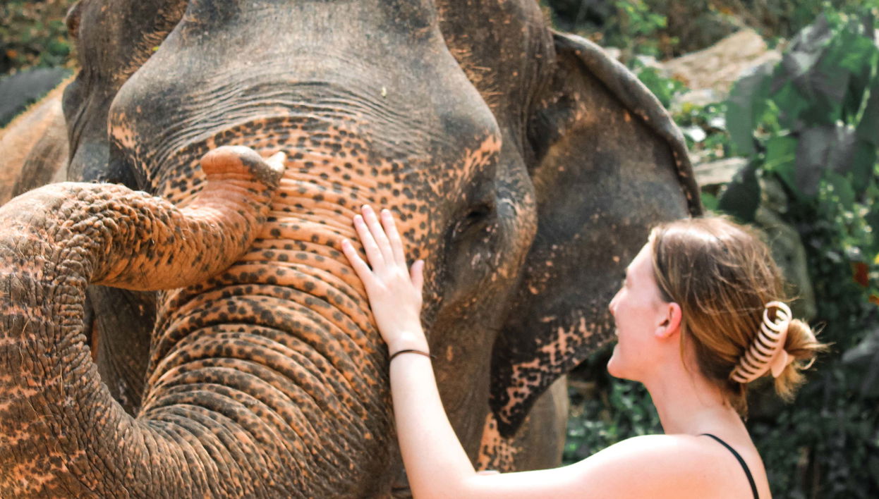 Ao Nang Elephant Sanctuary Trip