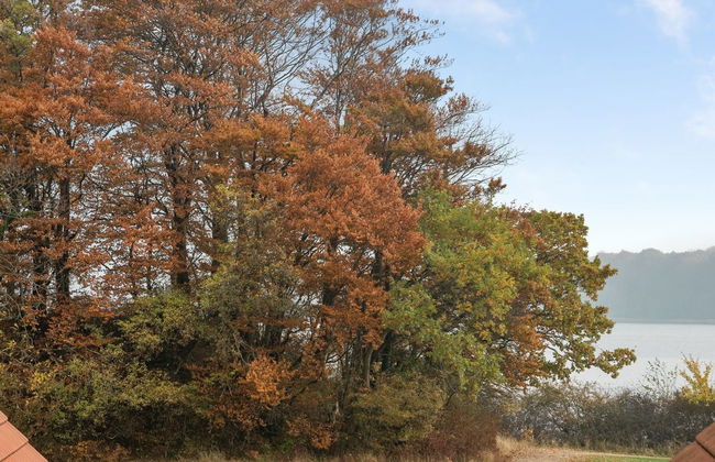 "Babette" - 75m to the fjord - Foto 27