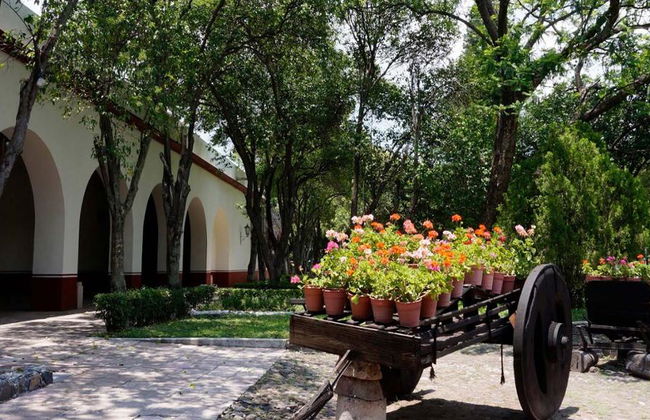 Antikes Anwesen Querétaro Tour - Foto 3