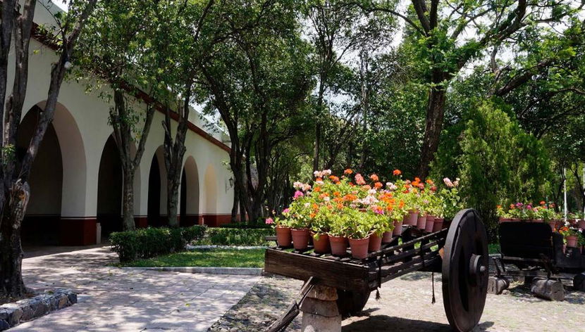 Antikes Anwesen Querétaro Tour - Foto 3