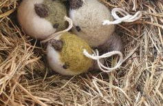 Bio Maso Nido Verde - Foto 31