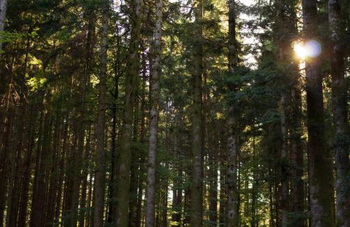 Il Rifugio di Vale - Foto 22