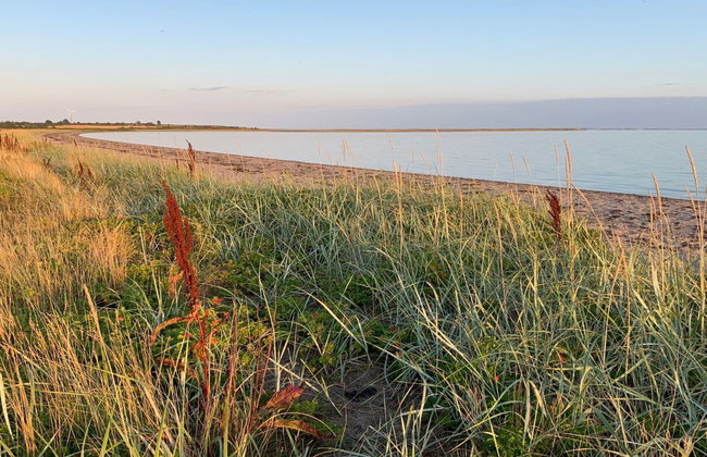 "Mayla" - 50m from the sea - Foto 6