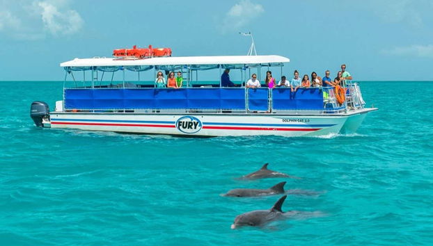 Dolphin watching in Key West