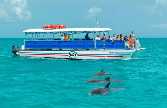 Avistamento de golfinhos em Key West - Foto 2