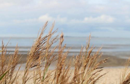 Steffis-Strand-Schule - Foto 17