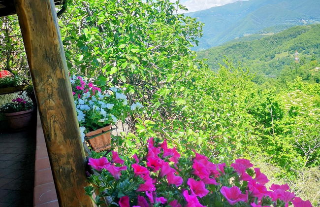 Holiday Apartment Ulivella Tuscany Garfagnana - Foto 12
