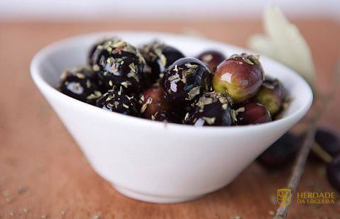 Herdade da Urgueira - Foto 24