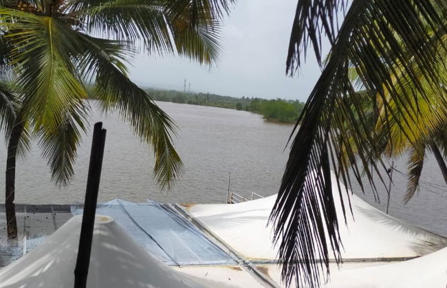 Jacks Place - Foto 23