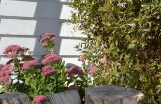 The White Barn near Cambridge - Foto 29