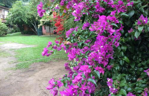 Casa Colonial Térrea no Saco da Capela em Ilhabela - Foto 39