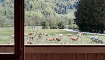 Der Schmiedhof - Foto 3