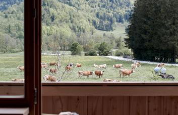 Der Schmiedhof - Foto 3