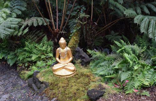 Hale Ho'okipa - Foto 62