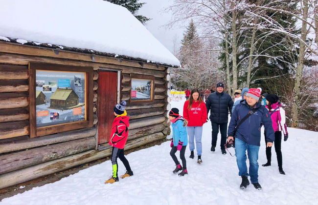 Tour panoramico di Whistler - Foto 6