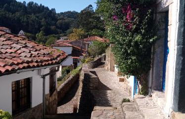 Tazones 79 VUT6993AS - Foto 54