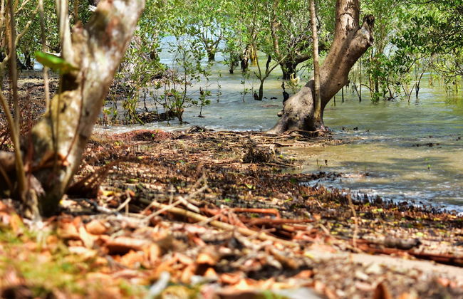 Na Sook Resort - Photo 76