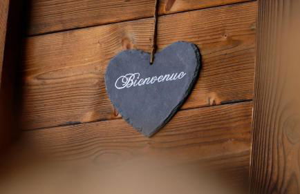 LES 3 CIMES BLANCHES - Photo 14