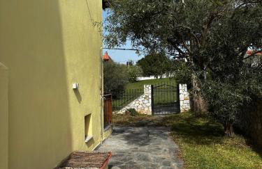 Meropis Apartment - Photo 6