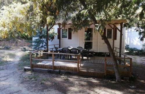 Résidence Santa - Foto 9