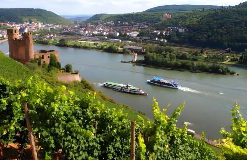 Bacchus Holiday Homes - Foto 13