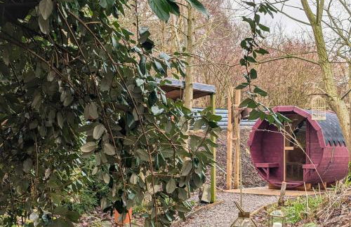 Bird House - Sleep with the Owls! - Foto 25