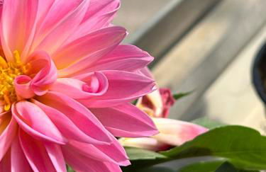 RusticHome - Foto 15