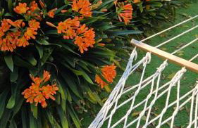 Il Giardino dei Gigli - Foto 64