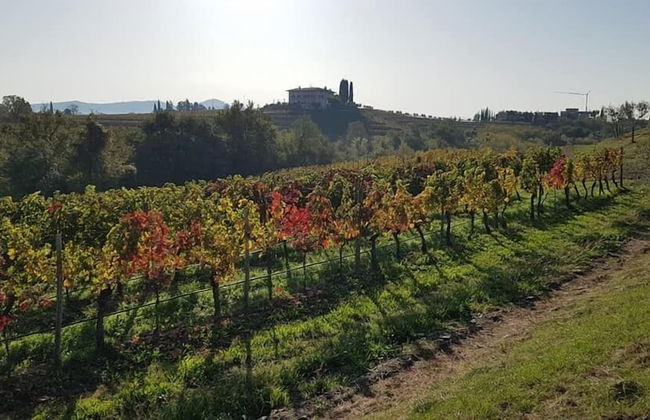 Residence Caporale - Photo 21