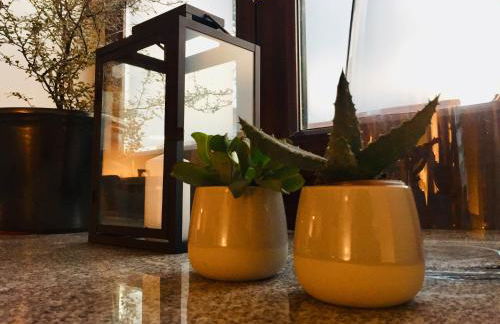 Lykkegård - Glück im ehemaligen Weinkeller - Foto 6