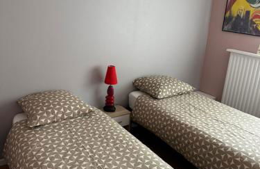 Bel appartement spacieux , lumineux, proche Dijon centre auditorium - Foto 21