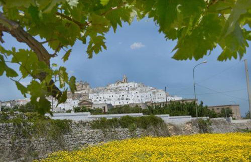 Agriturismo Salinola - Foto 148