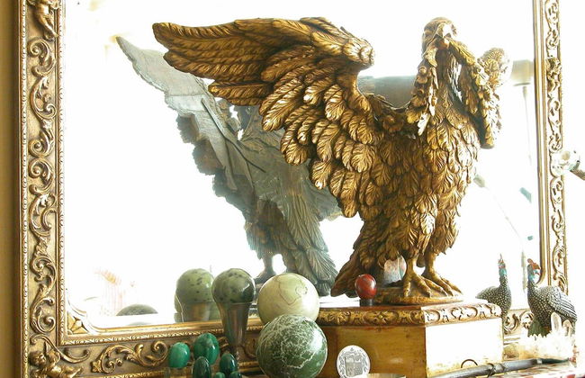 Colona Castle - Foto 71