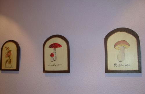 Apartamento Casa Go - Foto 6