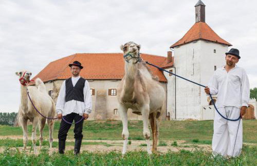 Kuća za odmor Malia sa Spa Hot Tub Jacuzzijem - Nice and Cozy - Free tickets to all City attractions - Foto 46