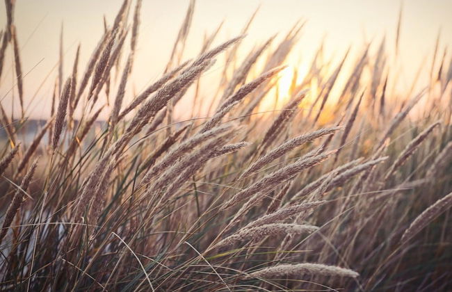 Charming Holiday Home With a Terrace - Photo 27
