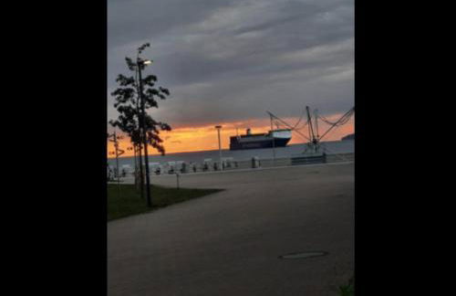 Grünstrand - Foto 24