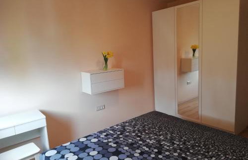 Apartman Nikola - Photo 20