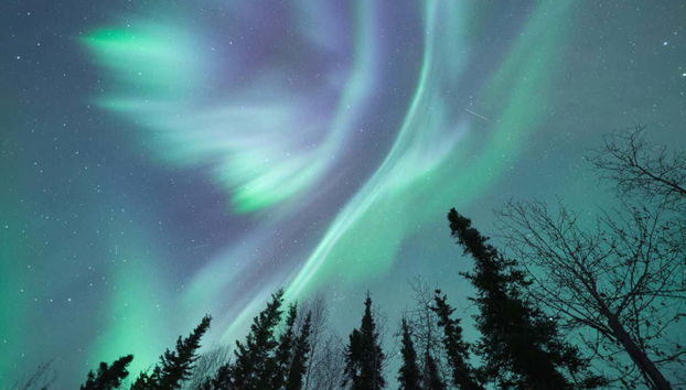 Aurora boreale a Fairbanks