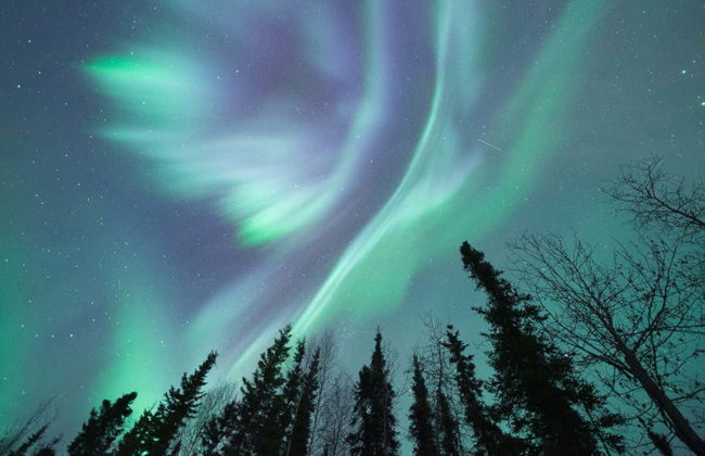 Tour dell'aurora boreale - Foto 2