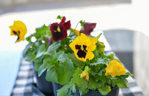 Vayas Residences - Legacy - Foto 37