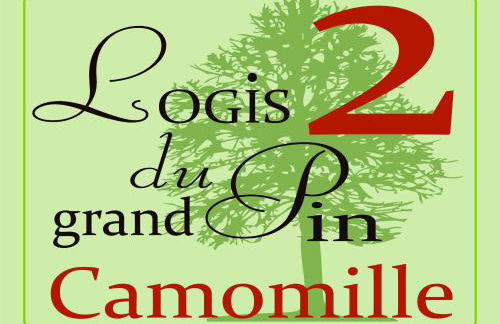 LOGIS DU GRAND PIN - Photo 28