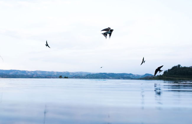 Agriturismo Ca' del Re - Foto 37