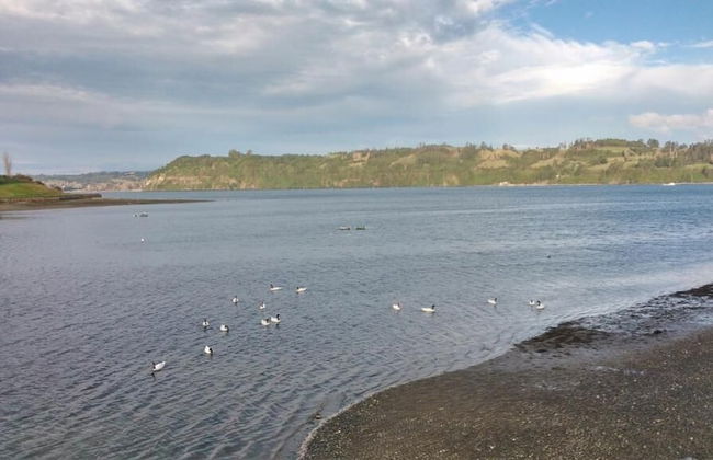 Cabañas Palafitos Dalmacia - Foto 22