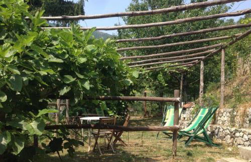 Agriturismo di Charme e Ristorante Stallato Il Filo di Paglia - Foto 91